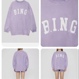 Anine Bing Tyler sweatshirt